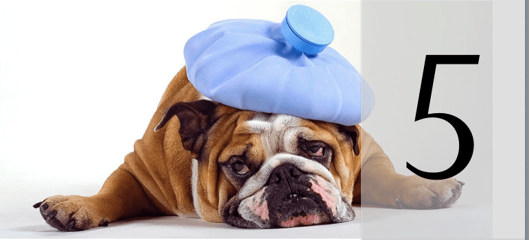 Captura de Tela 2014-08-18 às 17.46.04